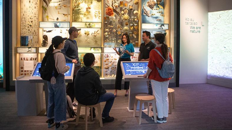 留学去新西兰干体力活,治好年轻人的工作内耗